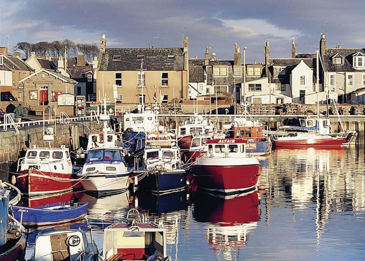 St Cyrus Park Hotell Montrose Eksteriør bilde